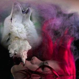 Meet your Posher, Audrey